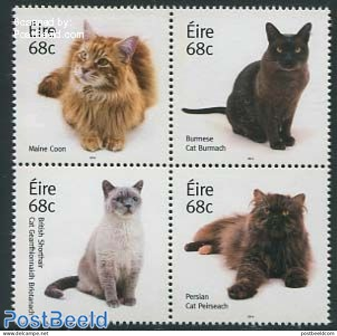 Ireland 2014 Cats 4v [+], Mint NH, Nature - Cats - Nuevos