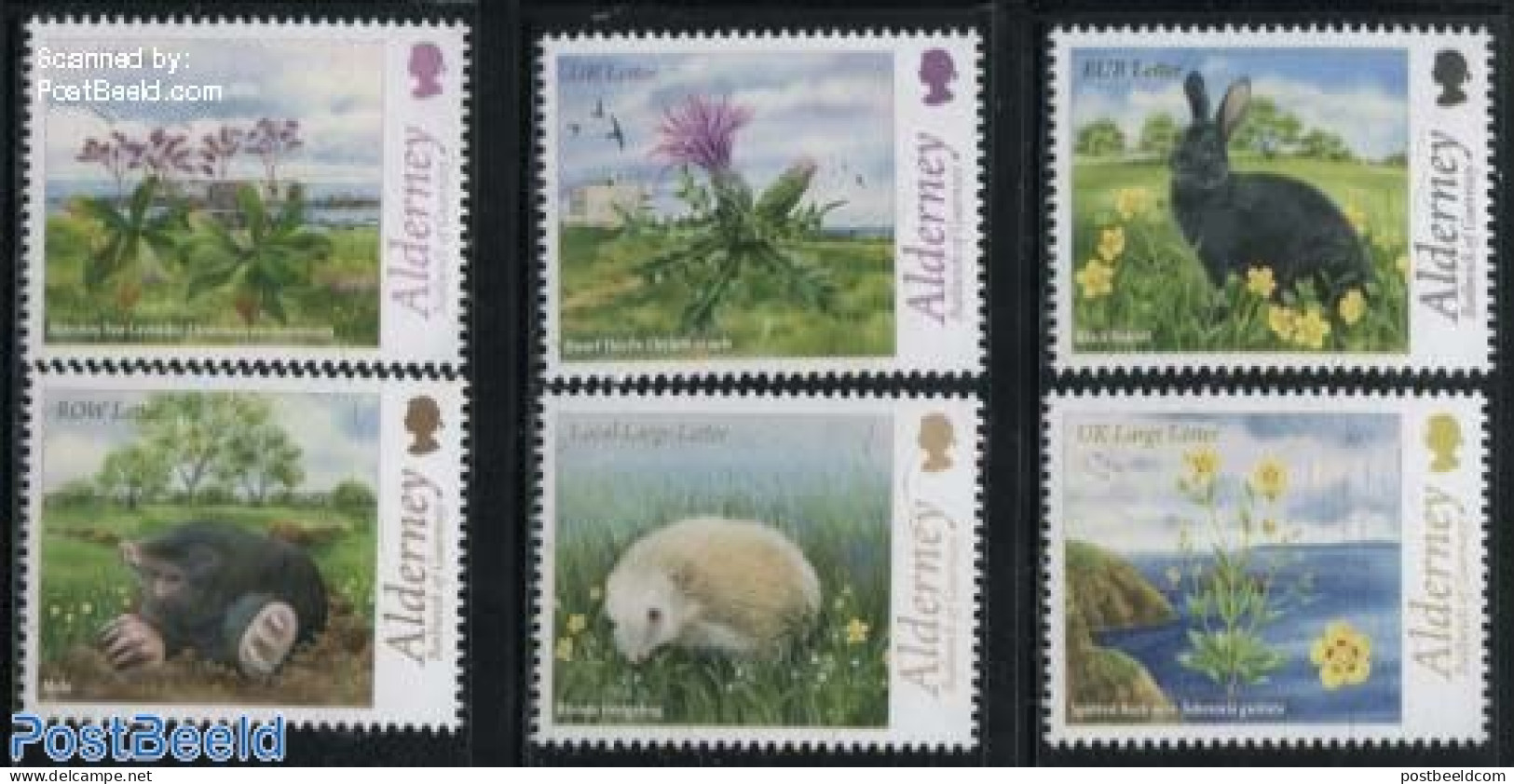 Alderney 2015 Flora & Fauna 6v, Mint NH, Nature - Animals (others & Mixed) - Flowers & Plants - Hedgehog - Rabbits / H.. - Alderney