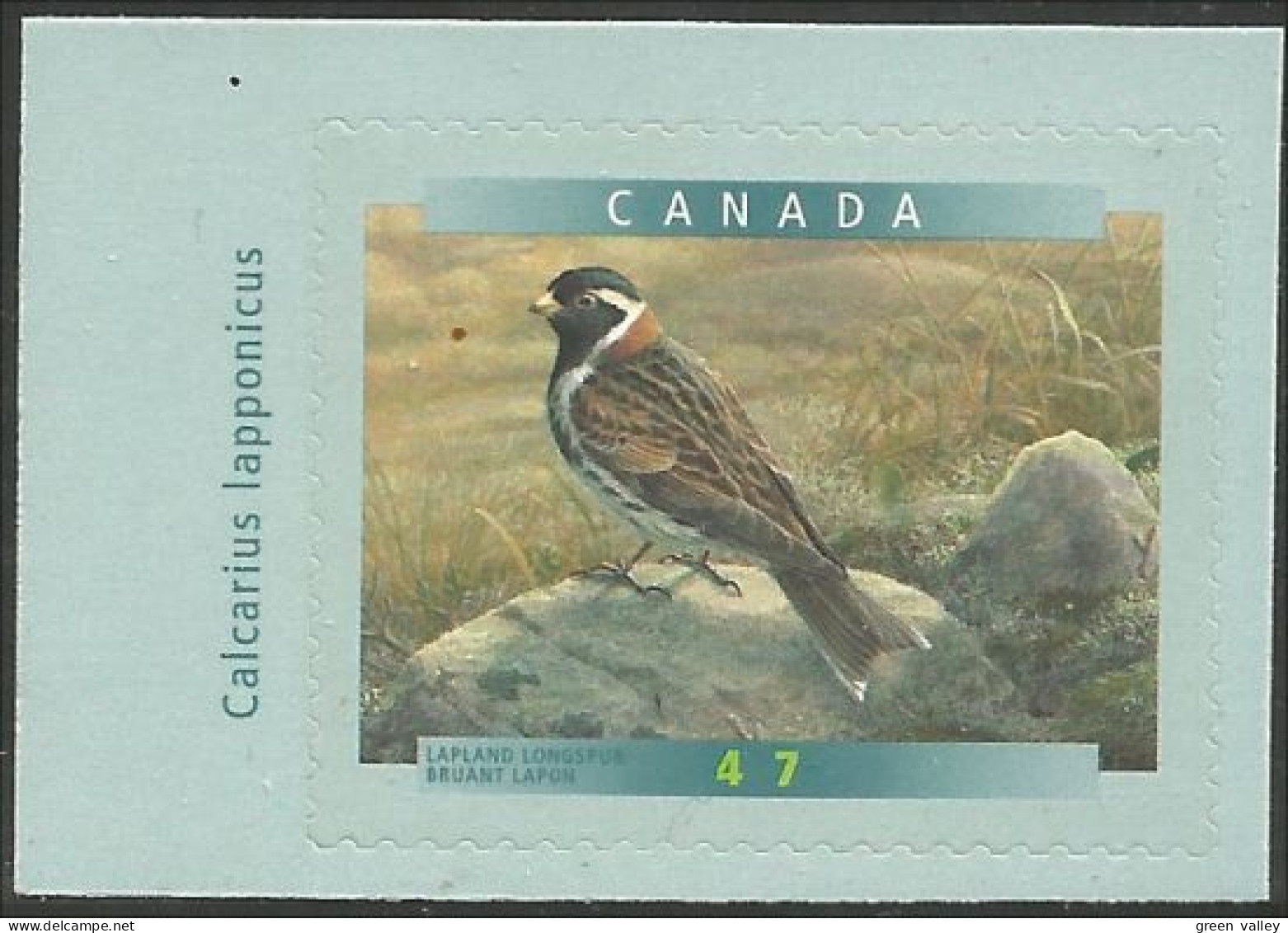 Canada Longspur Bruant Lapon MNH ** Neuf SC (C18-93ga) - Nuevos