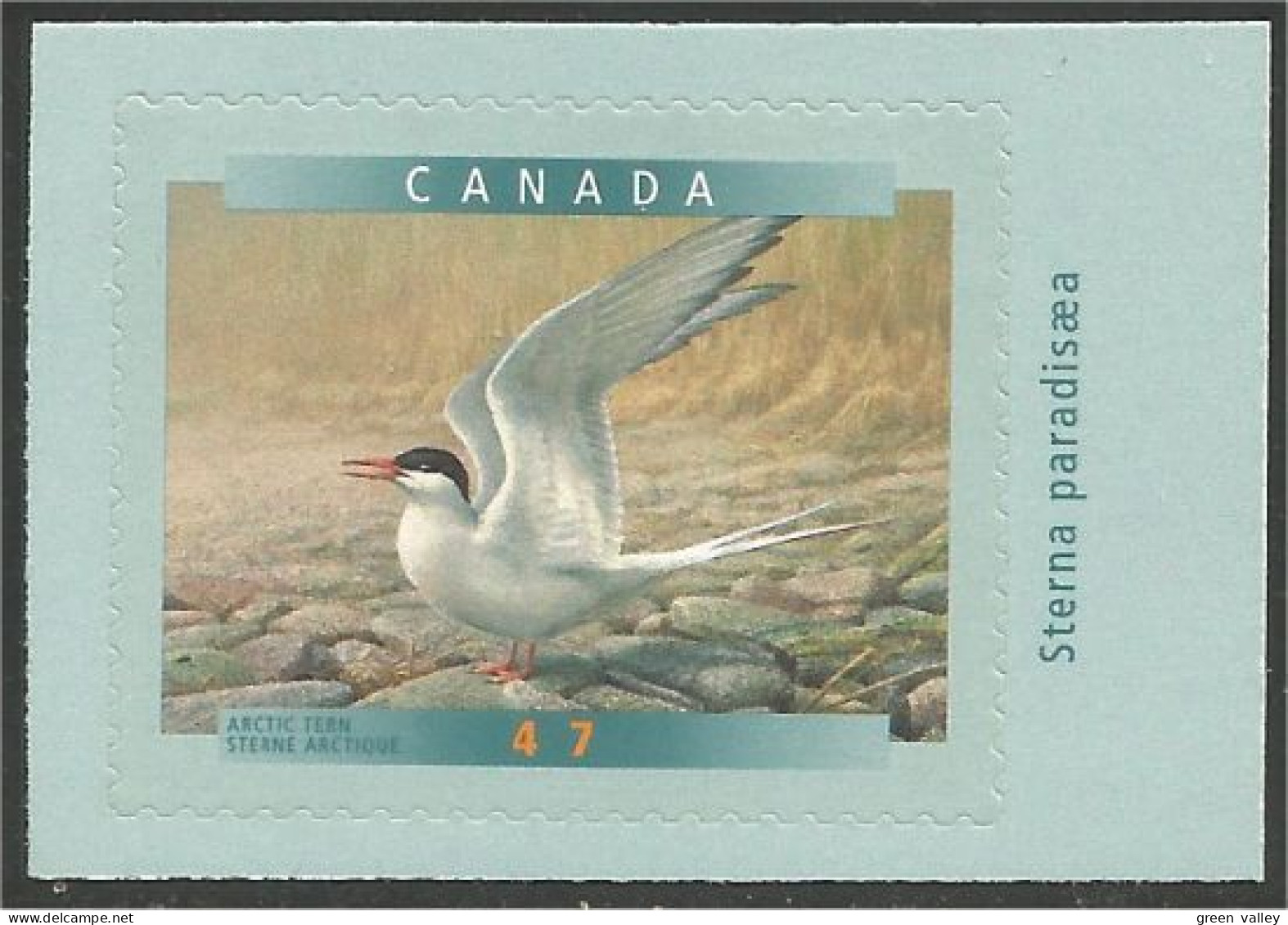 Canada Sterne Tern MNH ** Neuf SC (C18-91db) - Autres & Non Classés