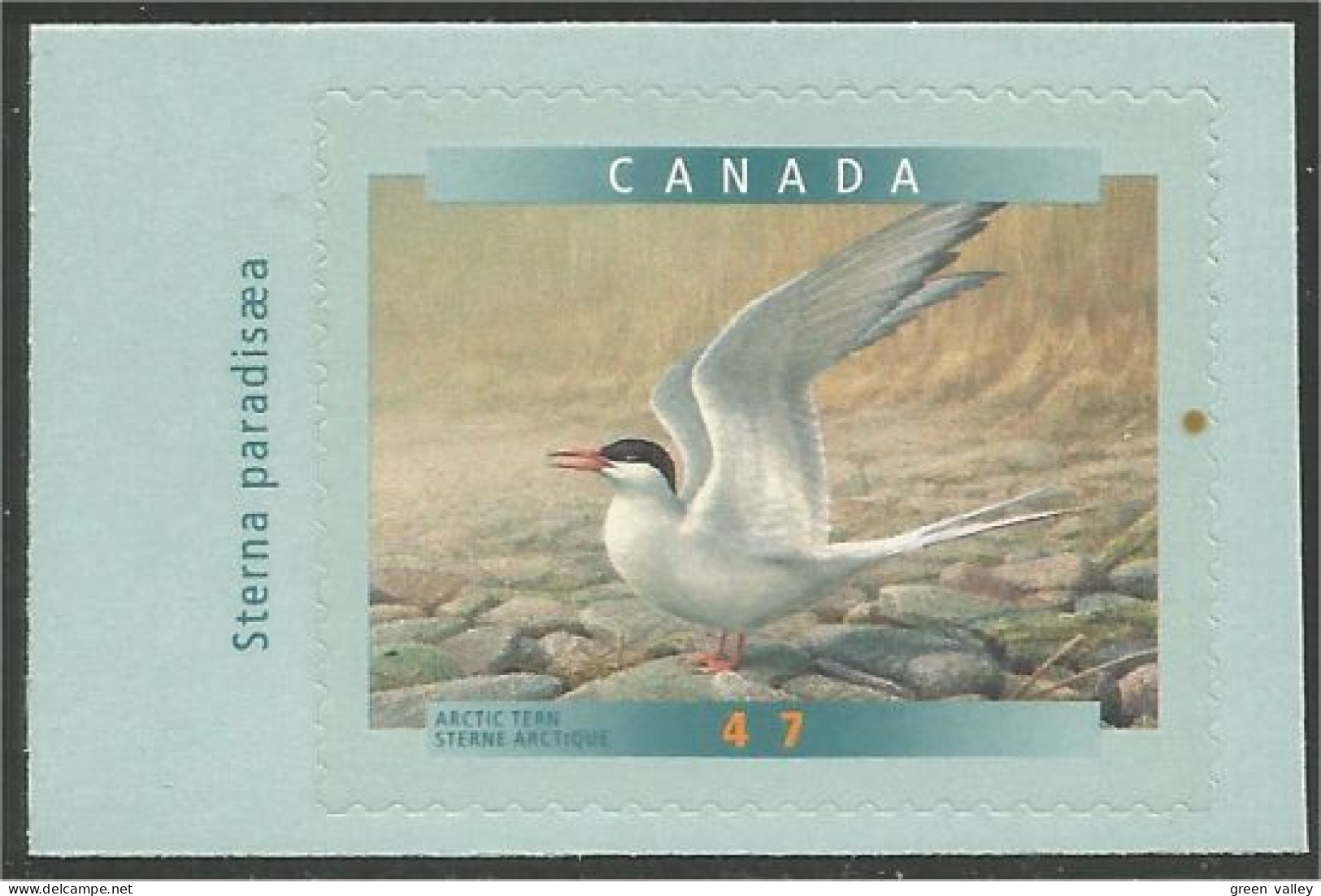 Canada Sterne Tern MNH ** Neuf SC (C18-91ga) - Nuovi