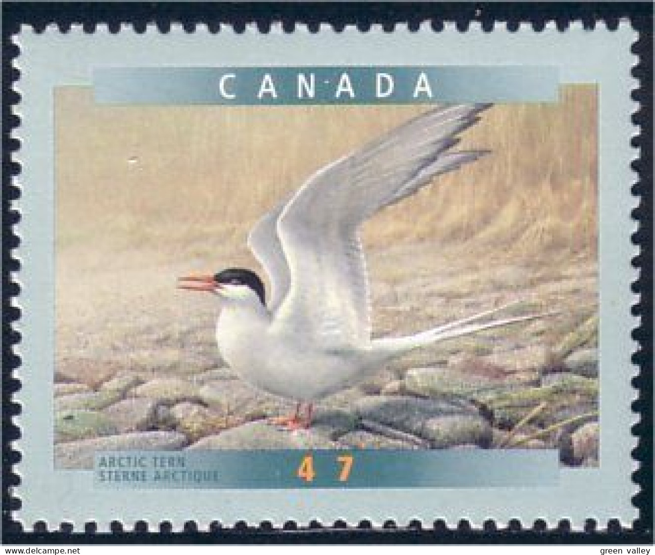 Canada Sterne Tern MNH ** Neuf SC (C18-87a) - Unused Stamps