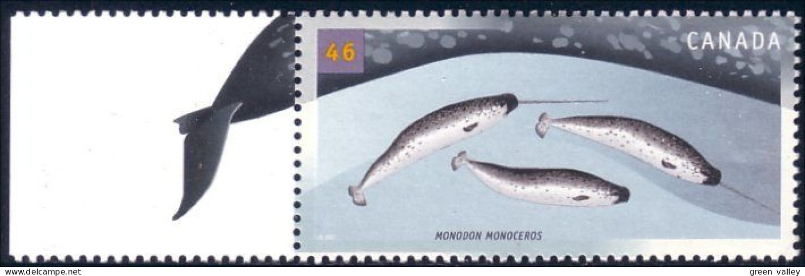 Canada Narval Narwhal Baleine Whale MNH ** Neuf SC (C18-68gl) - Unused Stamps