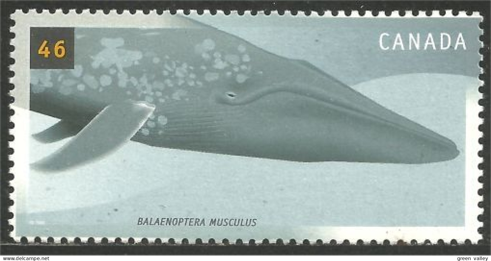 Canada Baleine Bowhead Whale MNH ** Neuf SC (C18-70a) - Unused Stamps