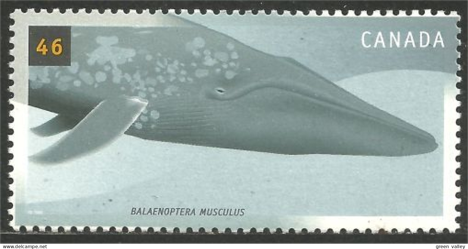 Canada Baleine Bowhead Whale MNH ** Neuf SC (C18-70b) - Whales