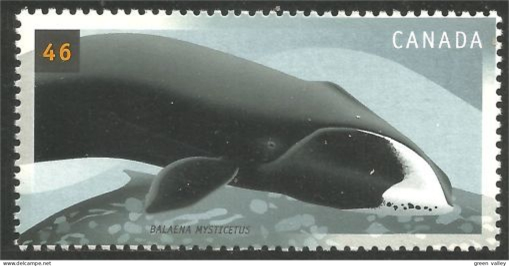 Canada Baleine Rorqual Blue Whale MNH ** Neuf SC (C18-69a) - Ungebraucht