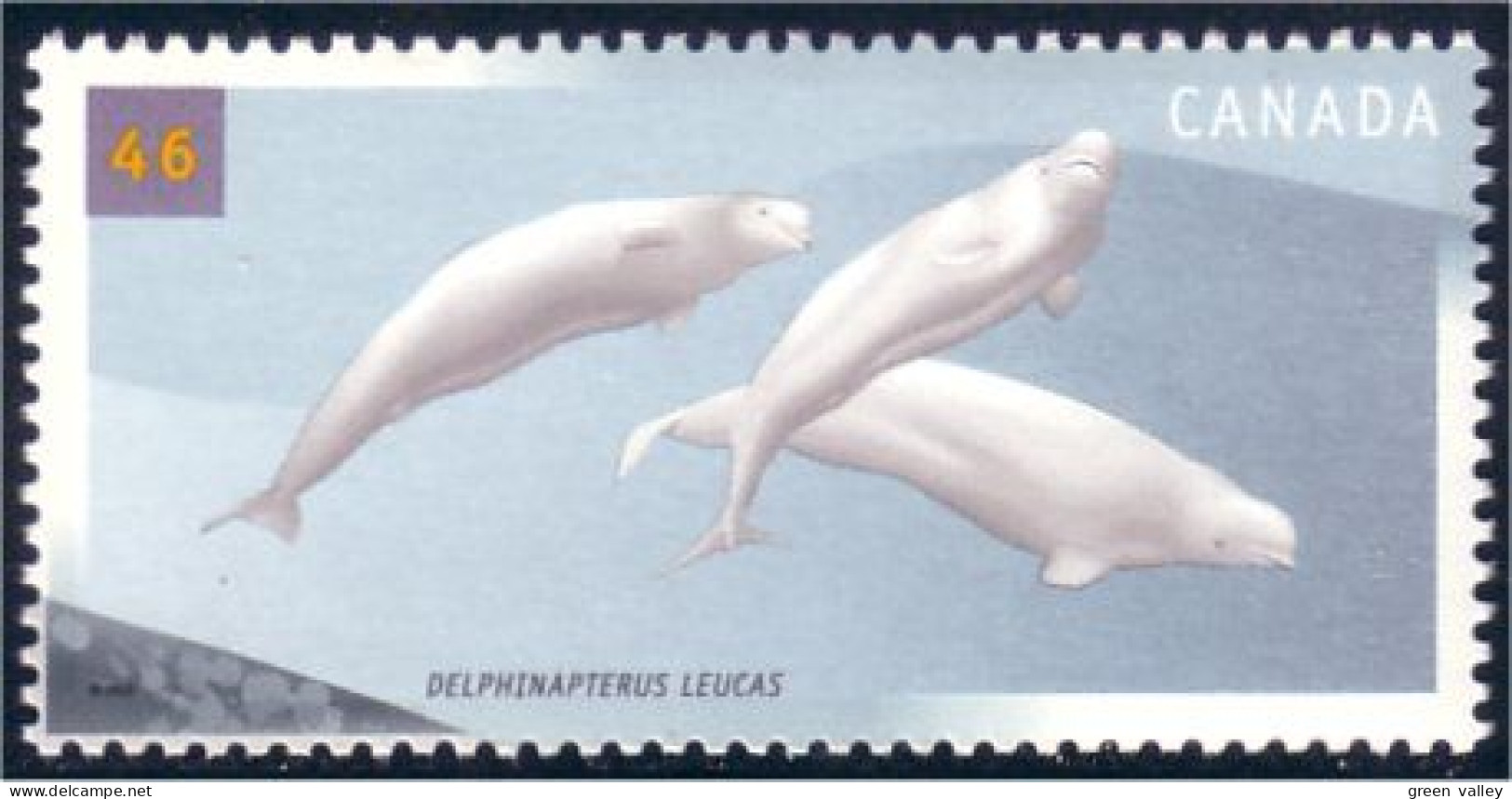 Canada Baleine Beluga Whale MNH ** Neuf SC (C18-71b) - Baleines
