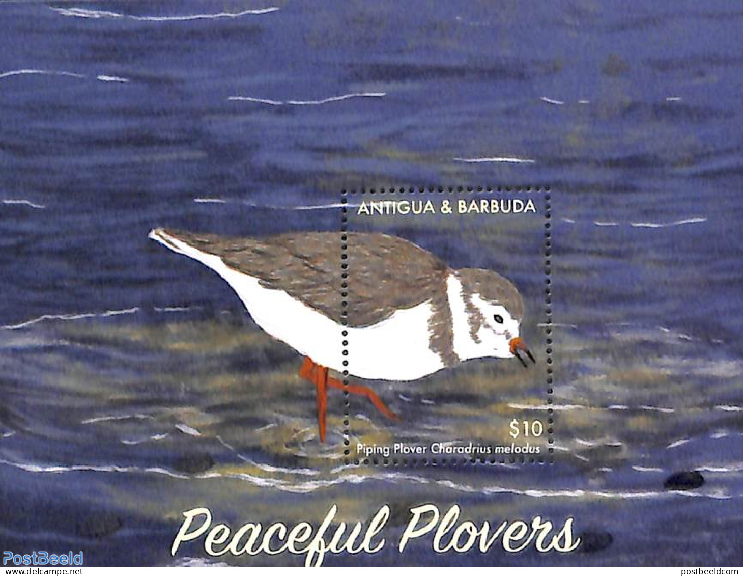 Antigua & Barbuda 2017 Peaceful Plovers S/s, Mint NH, Nature - Birds - Antigua And Barbuda (1981-...)