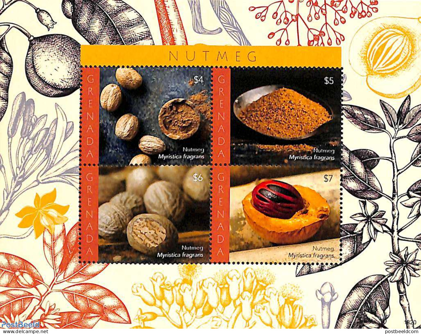 Grenada 2018 Nutmeg 4v M/s, Mint NH, Health - Various - Food & Drink - Agriculture - Alimentation