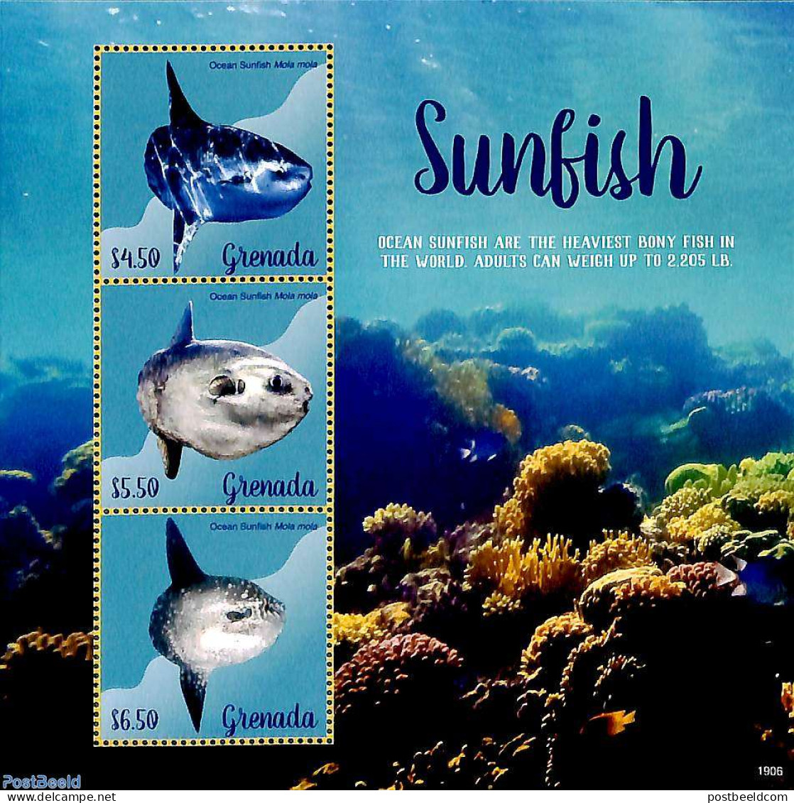 Grenada 2019 Sunfish 3v M/s, Mint NH, Nature - Fish - Fishes