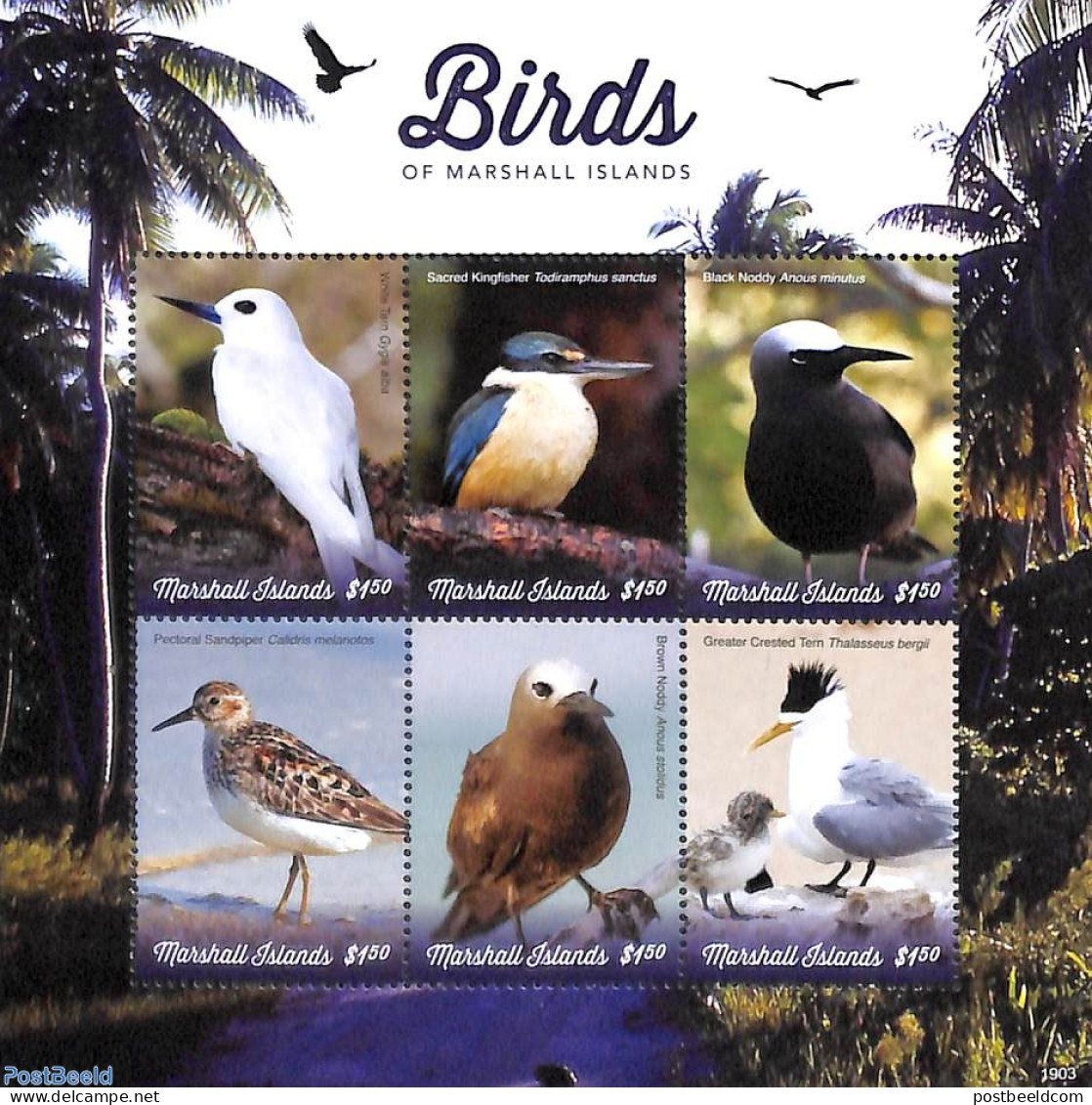 Marshall Islands 2019 Birds 6v M/s, Mint NH, Nature - Birds - Other & Unclassified