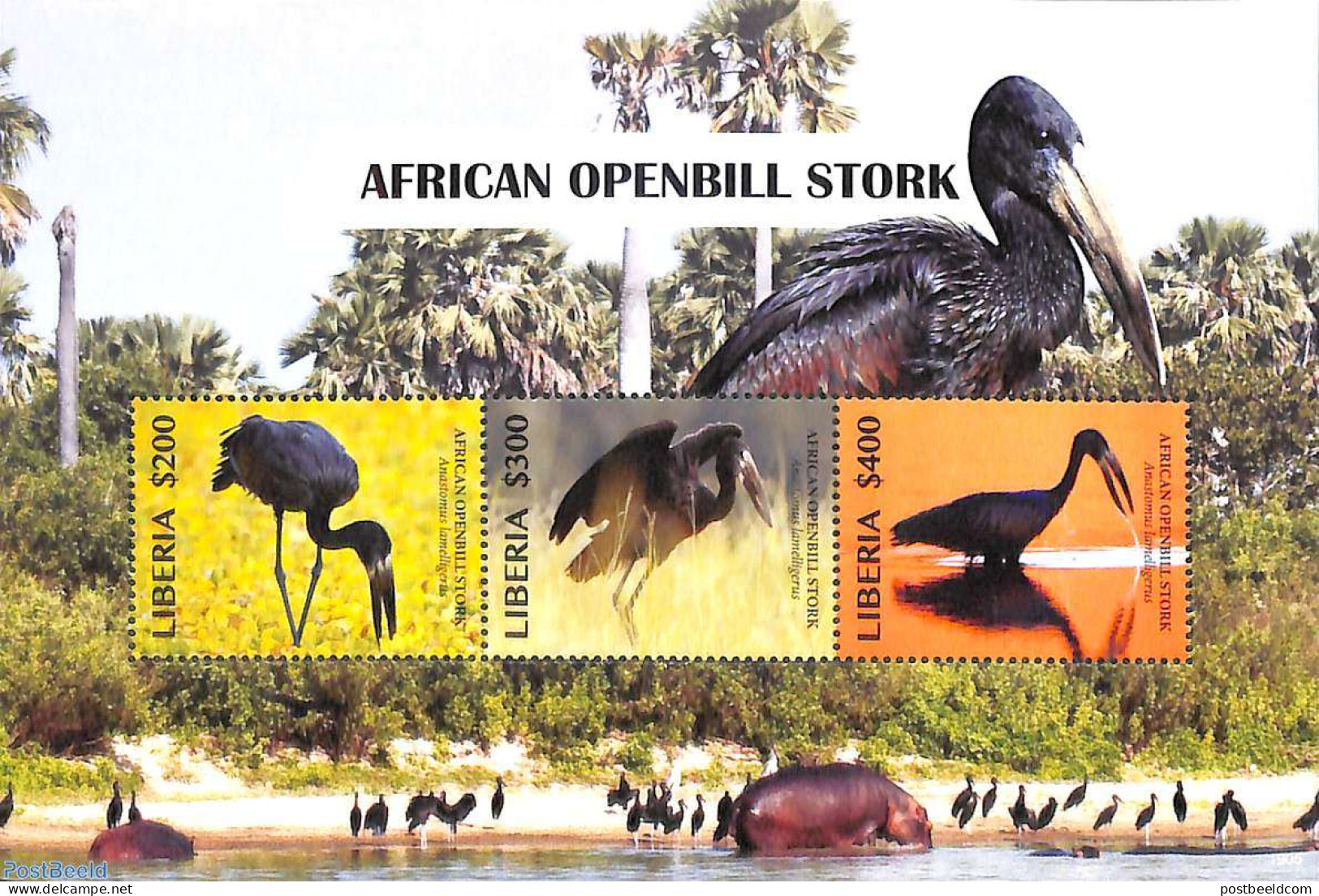 Liberia 2019 African Openbill Stork 3v M/s, Mint NH, Nature - Birds - Andere & Zonder Classificatie