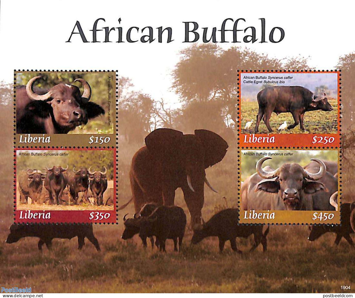 Liberia 2019 African Buffalo 4v M/s, Mint NH, Nature - Animals (others & Mixed) - Wild Mammals - Other & Unclassified