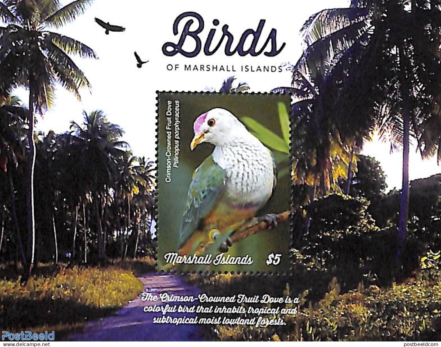 Marshall Islands 2019 Birds S/s, Mint NH, Nature - Birds - Otros & Sin Clasificación