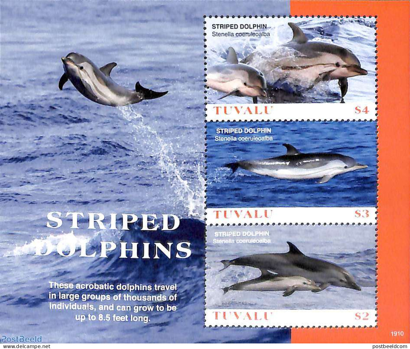 Tuvalu 2019 Striped Dolphins 3v M/s, Mint NH, Nature - Sea Mammals - Andere & Zonder Classificatie