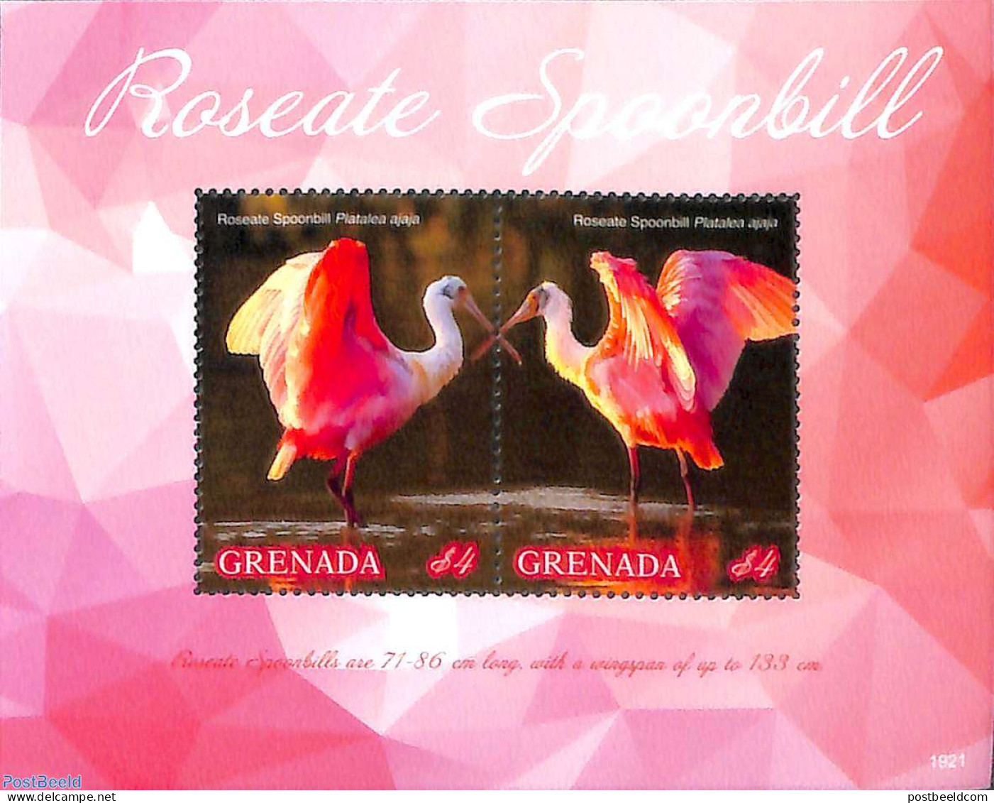 Grenada 2019 Roseate Spoonbill S/s, Mint NH, Nature - Birds - Other & Unclassified