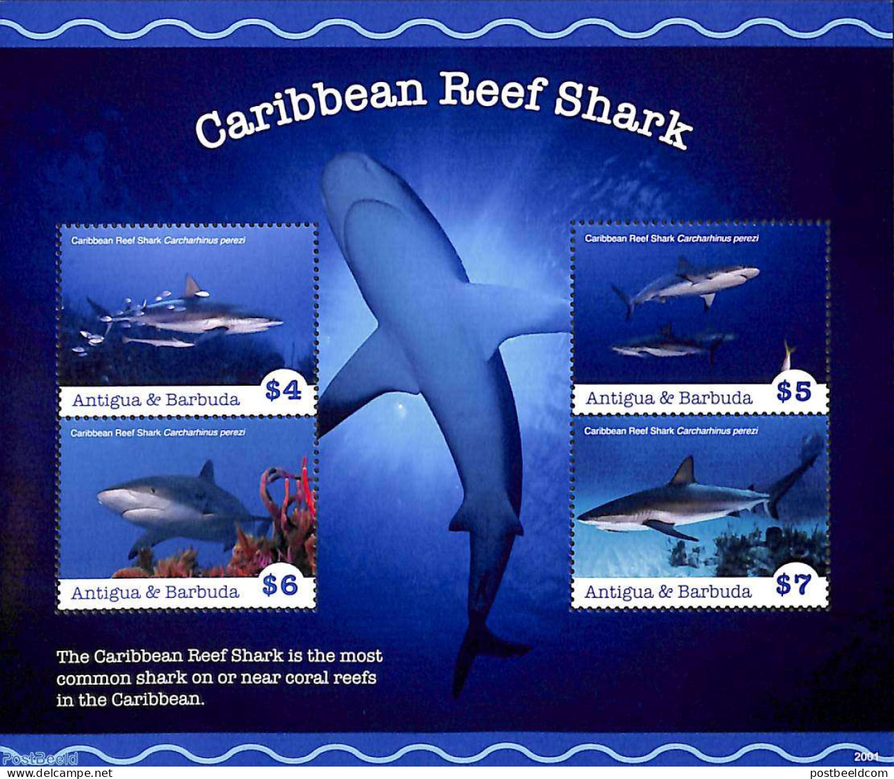 Antigua & Barbuda 2020 Caribbean Reef Shark 4v M/s, Mint NH, Nature - Fish - Sharks - Fishes