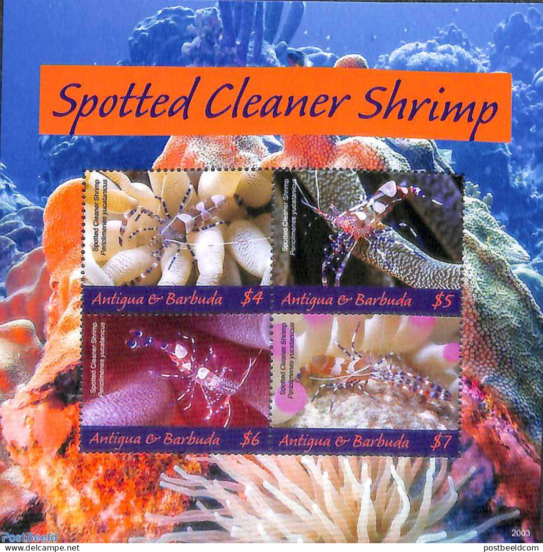 Antigua & Barbuda 2020 Spotted Cleaner Shrimp 4v M/s, Mint NH, Nature - Fish - Poissons