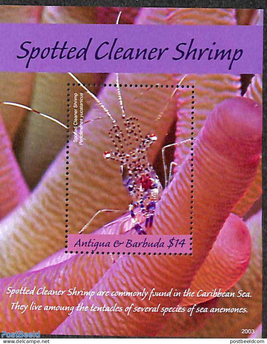 Antigua & Barbuda 2020 Spotted Cleaner Shrimp S/s, Mint NH, Nature - Fish - Fishes