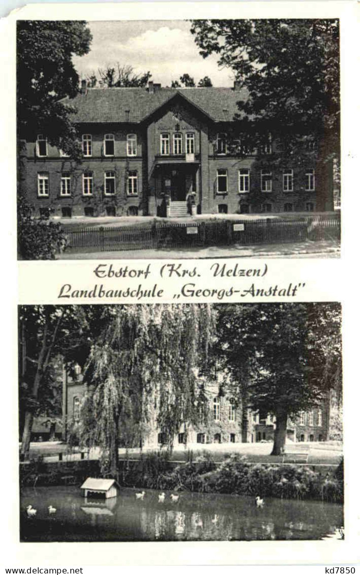 Ebstorf - Kr. Uelzen - Landbauschule Georgs Anstalt - Uelzen