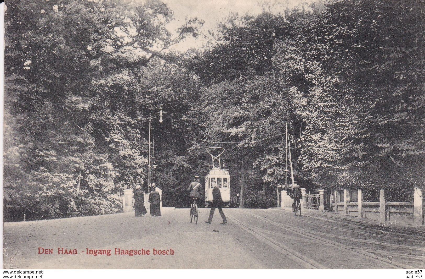 Netherlands Pays Bas Den Haag Ingang Haagsche Bos Tramway 1913 - Tramways
