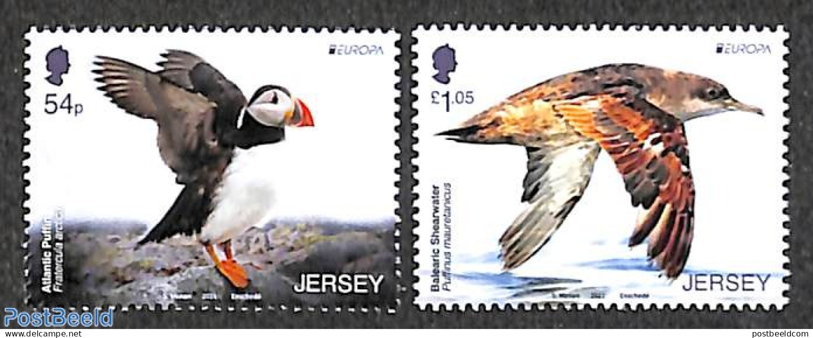 Jersey 2021 Europa, Endangered Animals 2v, Mint NH, History - Nature - Europa (cept) - Birds - Puffins - Jersey