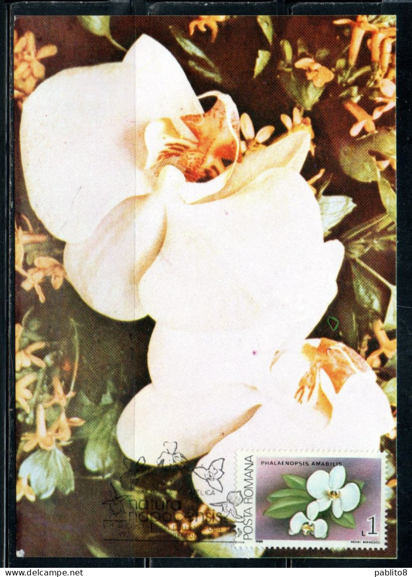 ROMANIA 1988 FLORA FLOWERS ORCHIDS PHALAENOPSIS AMABILIS FLOWER ORCHID 1L MAXI MAXIMUM CARD - Cartes-maximum (CM)