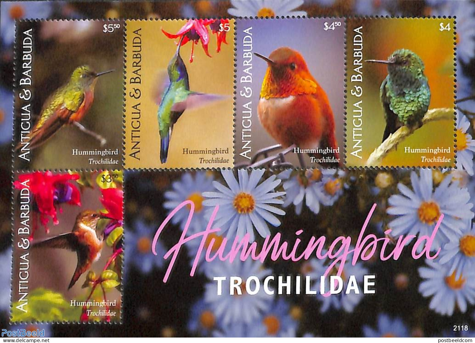 Antigua & Barbuda 2021 Hummingbirds 5v M/s, Mint NH, Nature - Birds - Antigua And Barbuda (1981-...)