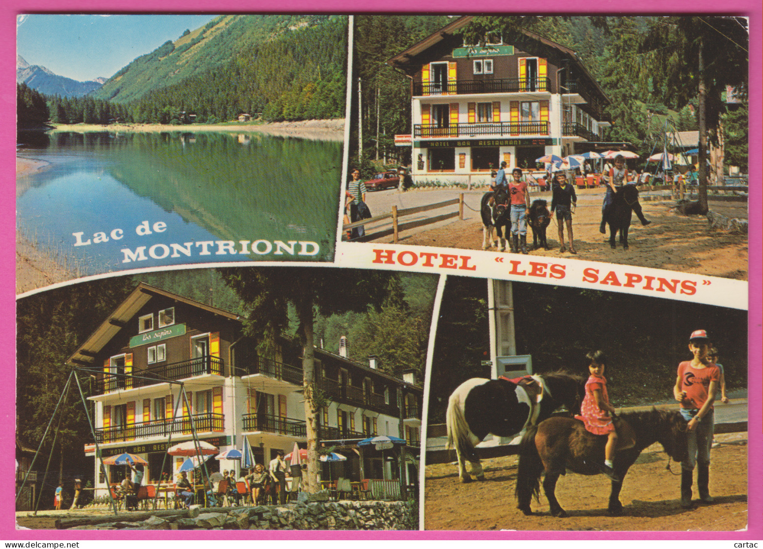 D74 - HÔTEL "LES SAPINS" - MONTRIOND LE LAC - Poneys - Ânes - LAC DE MONTRIOND - CPM Grand Format Multivues (4 Vues) - Otros & Sin Clasificación