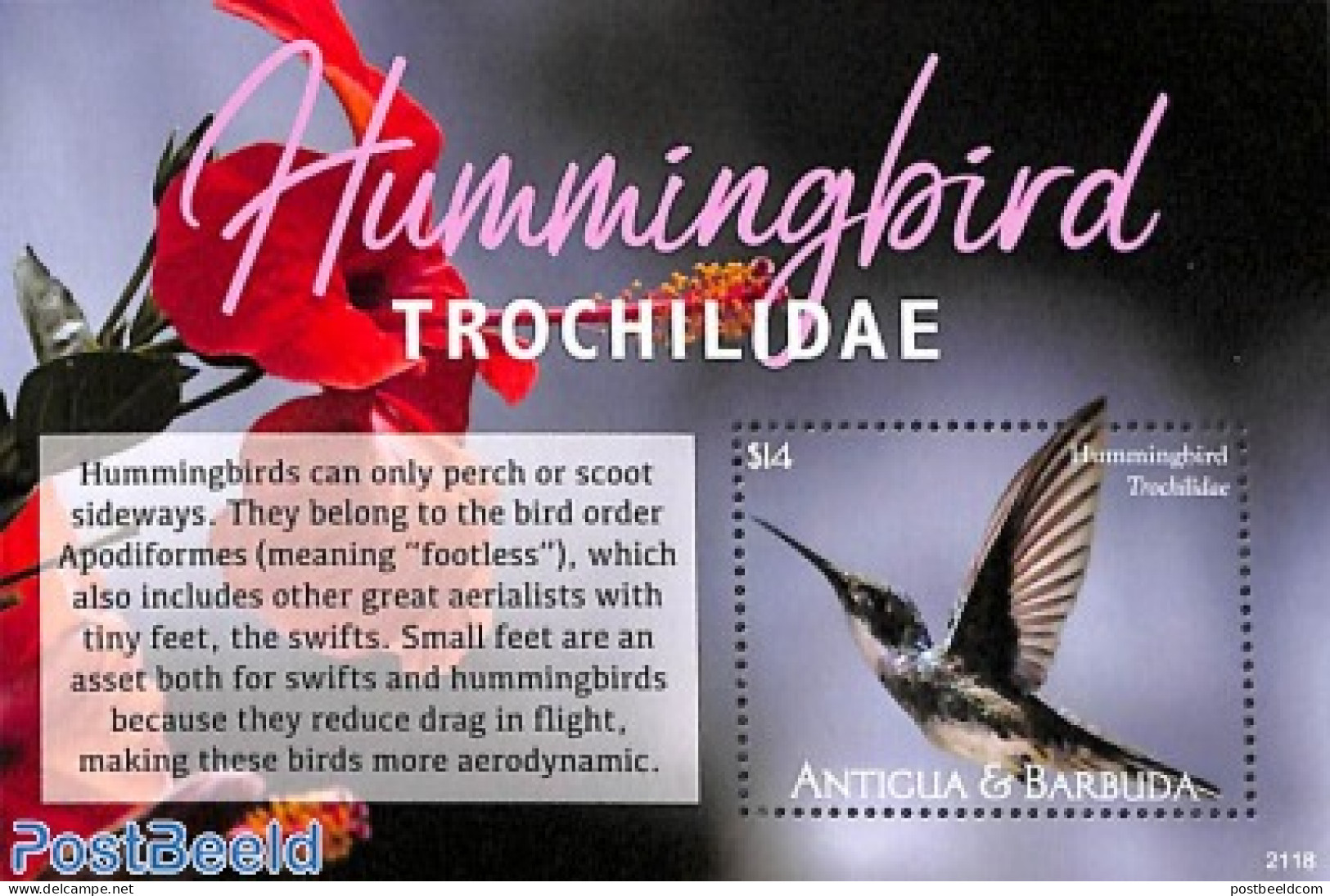 Antigua & Barbuda 2021 Hummingbirds S/s, Mint NH, Nature - Birds - Antigua En Barbuda (1981-...)