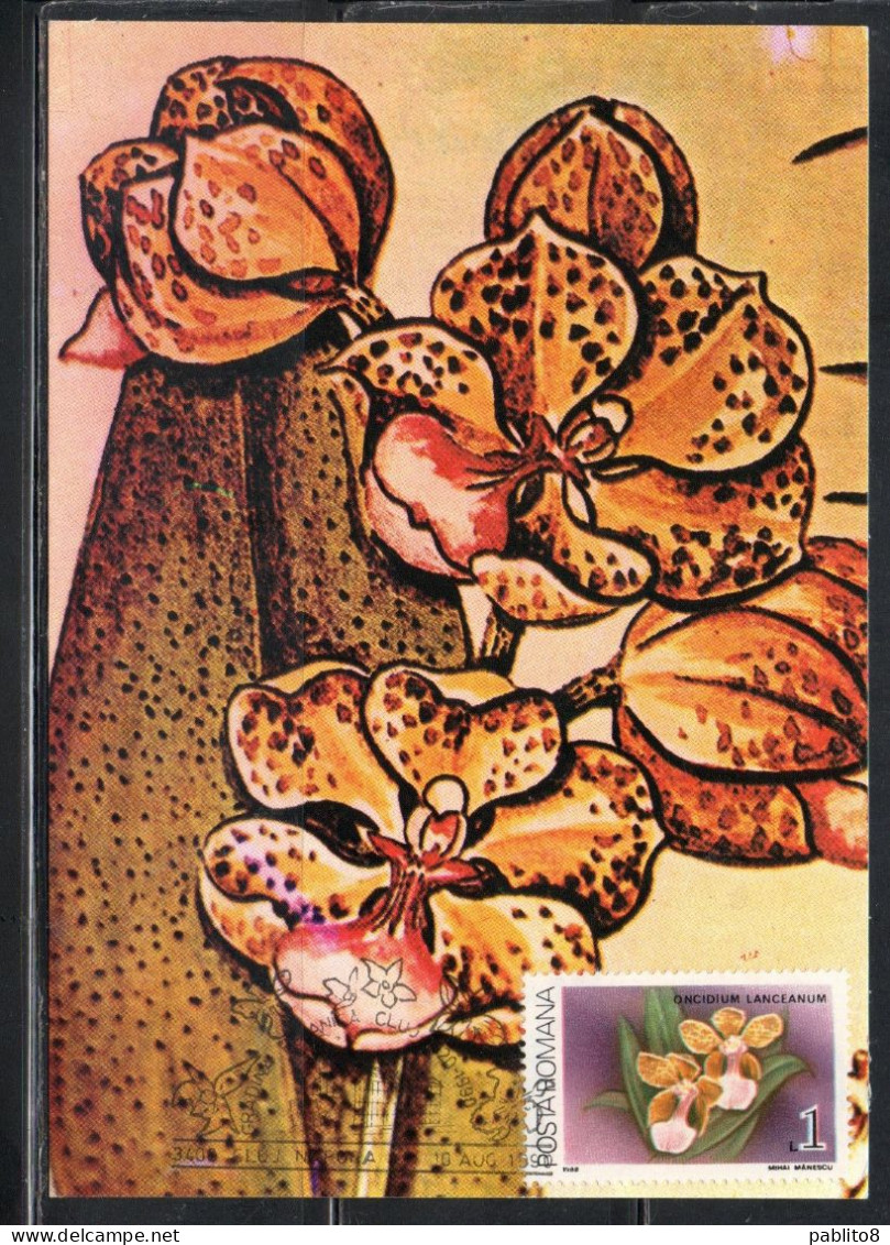 ROMANIA 1988 FLORA FLOWERS ORCHIDS ONCIDIUM LANCEANUM FLOWER ORCHID 1L MAXI MAXIMUM CARD - Maximumkarten (MC)