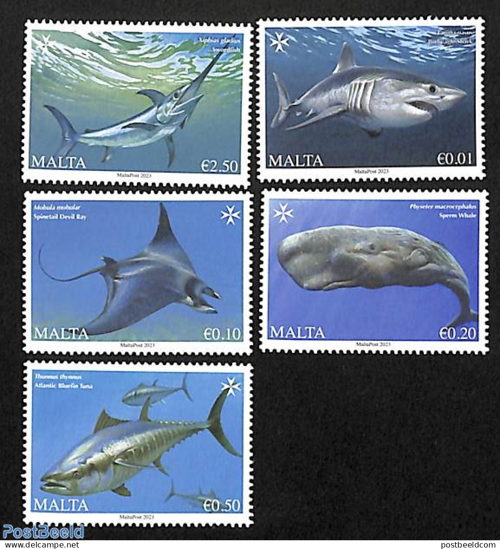 Malta 2023 Marine Life 5v, Mint NH, Nature - Fish - Sea Mammals - Poissons