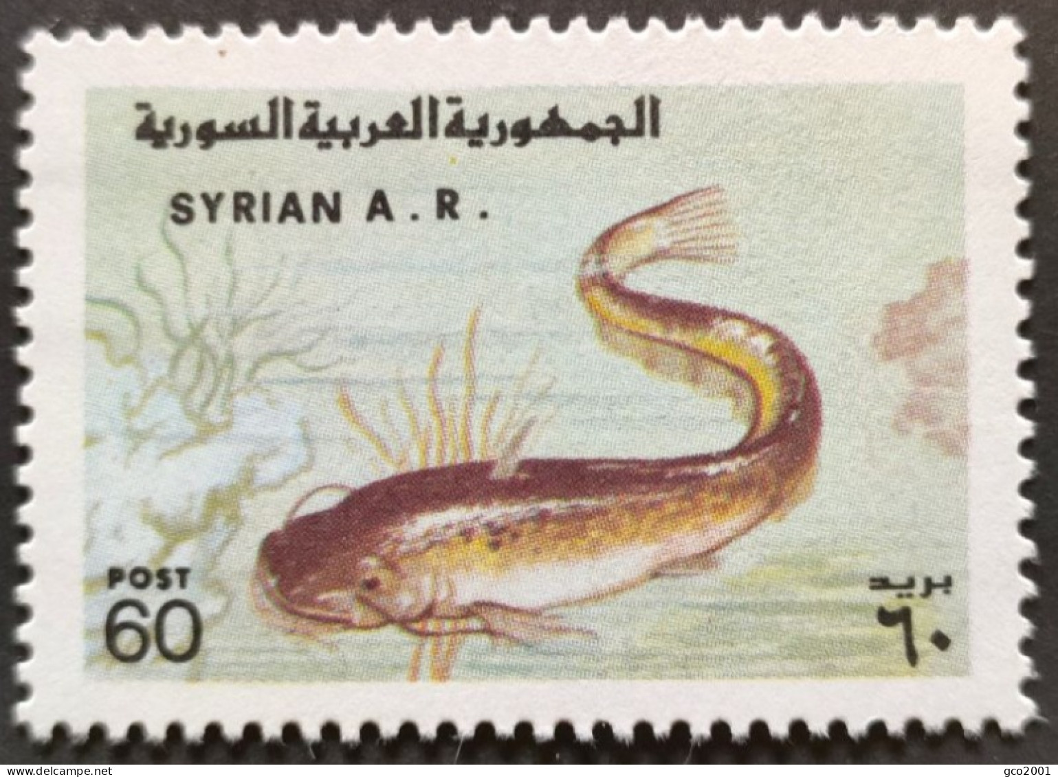 SYRIE / YT 524 / FAUNE - POISSON CHAT / NEUF ** / MNH - Poissons