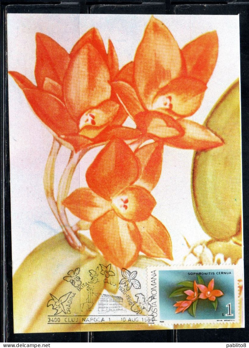 ROMANIA 1988 FLORA FLOWERS ORCHIDS SOPHRONITIS CERNUA FLOWER ORCHID 1L MAXI MAXIMUM CARD - Cartes-maximum (CM)