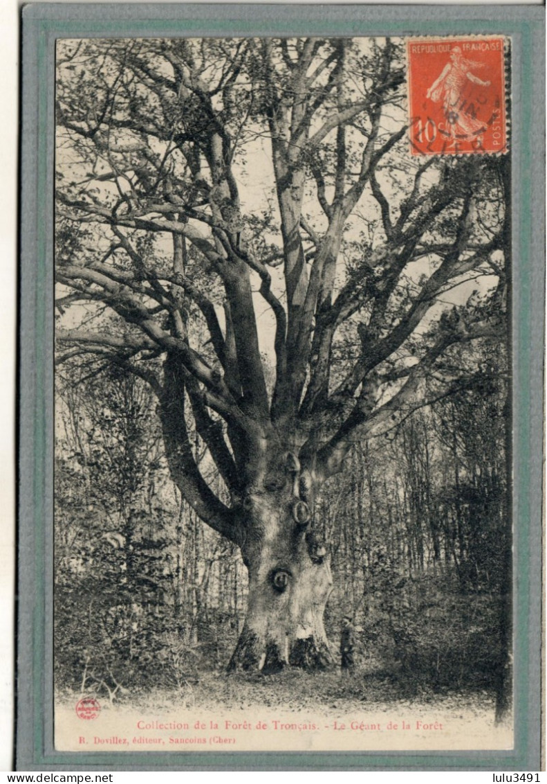 CPA (03) FORÊT De TRONÇAIS - Thème: ARBRE - Aspect Du Géant De La Forêt En 1906 - Other & Unclassified