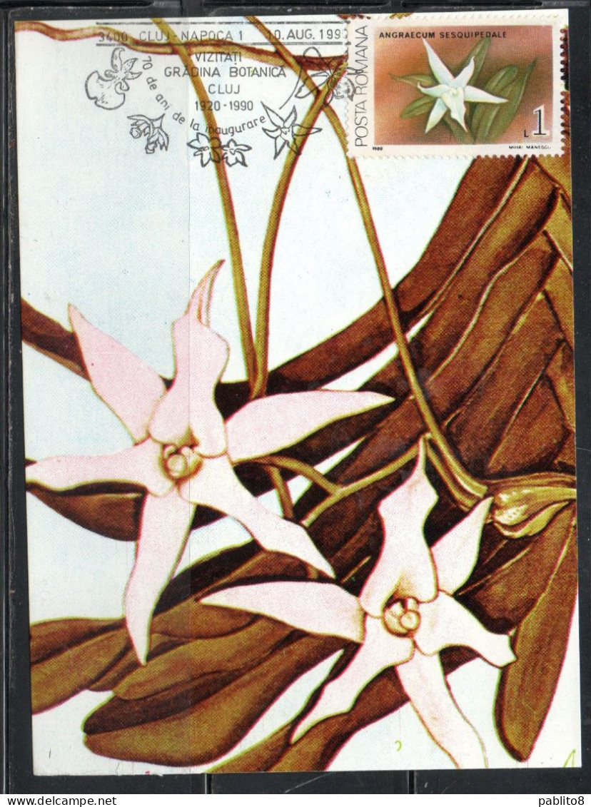 ROMANIA 1988 FLORA FLOWERS ORCHIDS ANGRAECUM SESQUIPEDALE FLOWER ORCHID 1L MAXI MAXIMUM CARD - Cartes-maximum (CM)