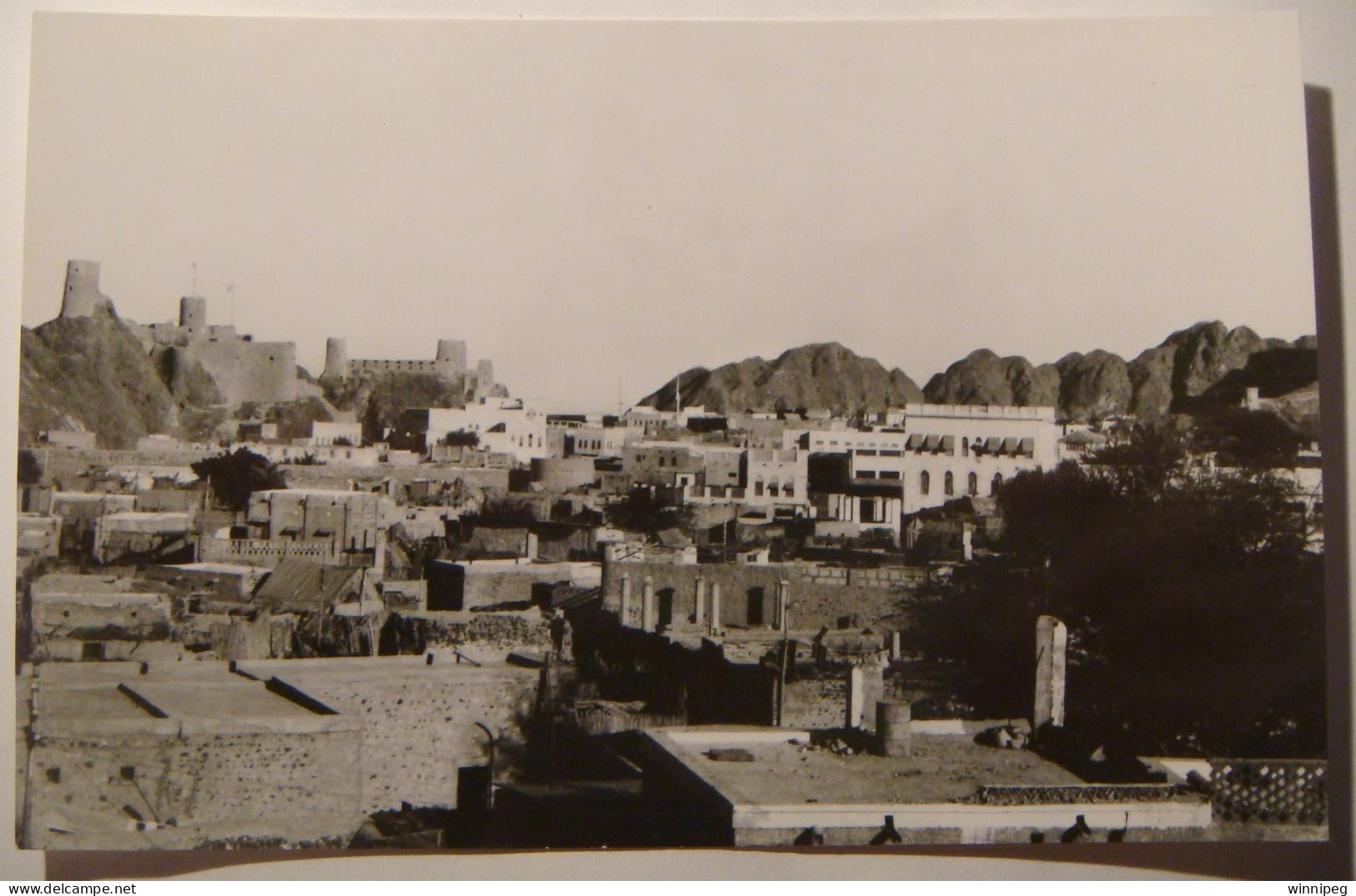 Muscat.Oman.View.RPPC By Kanti Stores. - Oman