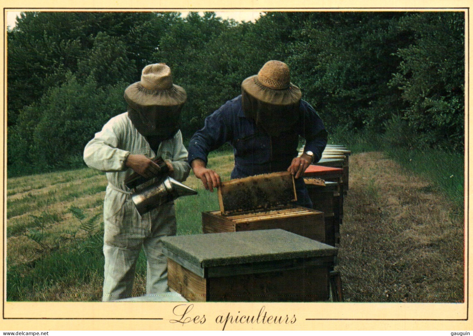 CPM - Métiers D'Antan - Les Apiculteurs … Editions Nivernaises - Crías