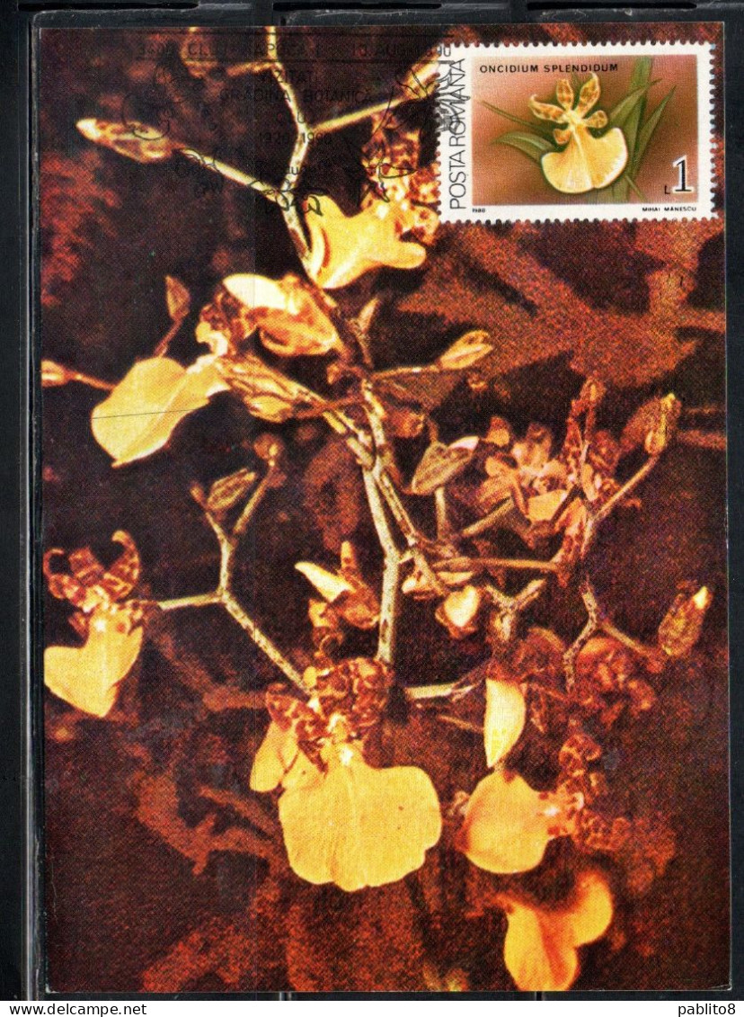 ROMANIA 1988 FLORA FLOWERS ORCHIDS ONCIDIUM SPLENDIDUM FLOWER ORCHID 1L MAXI MAXIMUM CARD - Cartes-maximum (CM)
