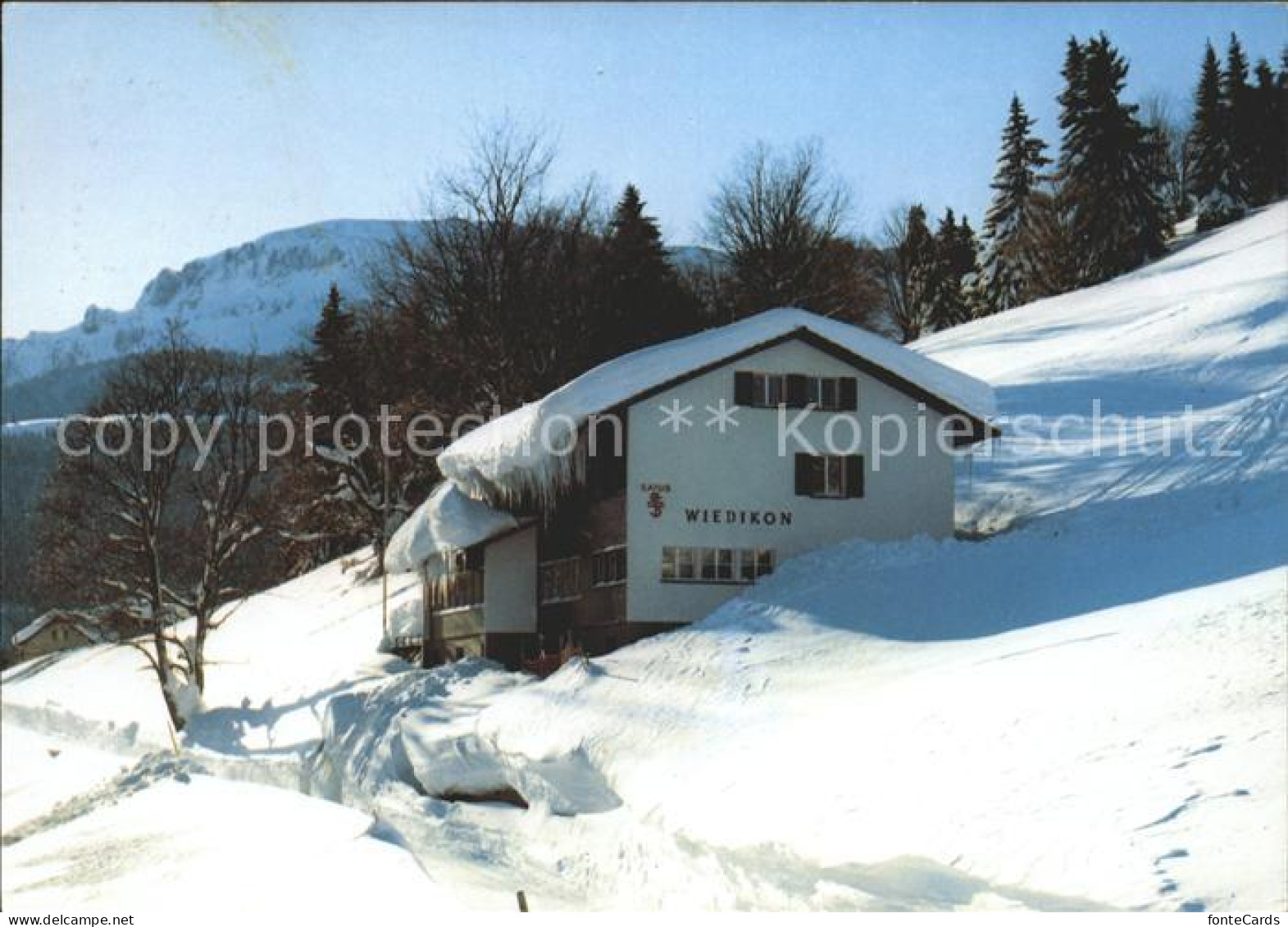 11889651 Tannenheim Ski Und Ferienhaus Wiedikon Tannenheim - Otros & Sin Clasificación