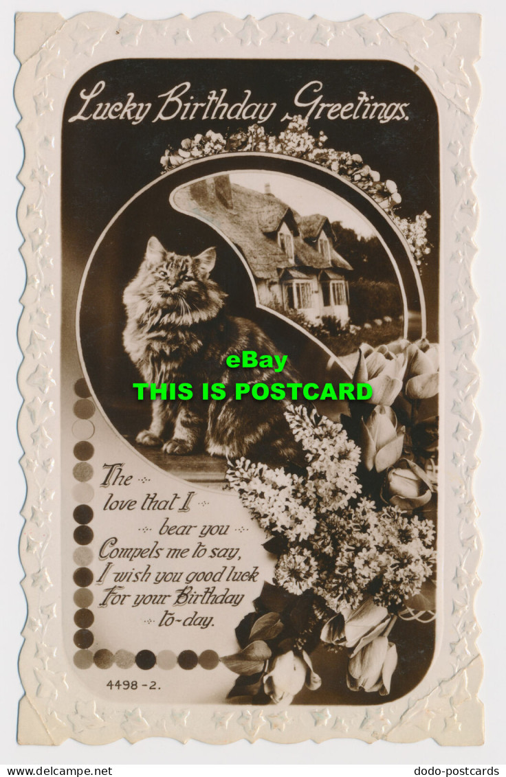 R579068 Lucky Birthday Greetings. House And Cat. Windsor Series. RP. 1934 - World