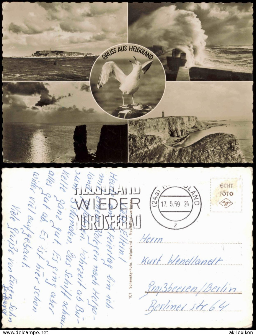 Ansichtskarte Helgoland (Insel) Mehrbild: Möwe, Ansichten 1957 - Otros & Sin Clasificación