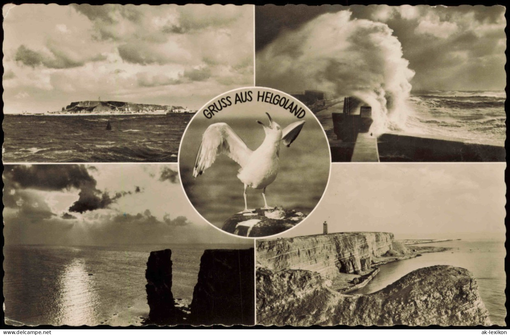 Ansichtskarte Helgoland (Insel) Mehrbild: Möwe, Ansichten 1957 - Otros & Sin Clasificación