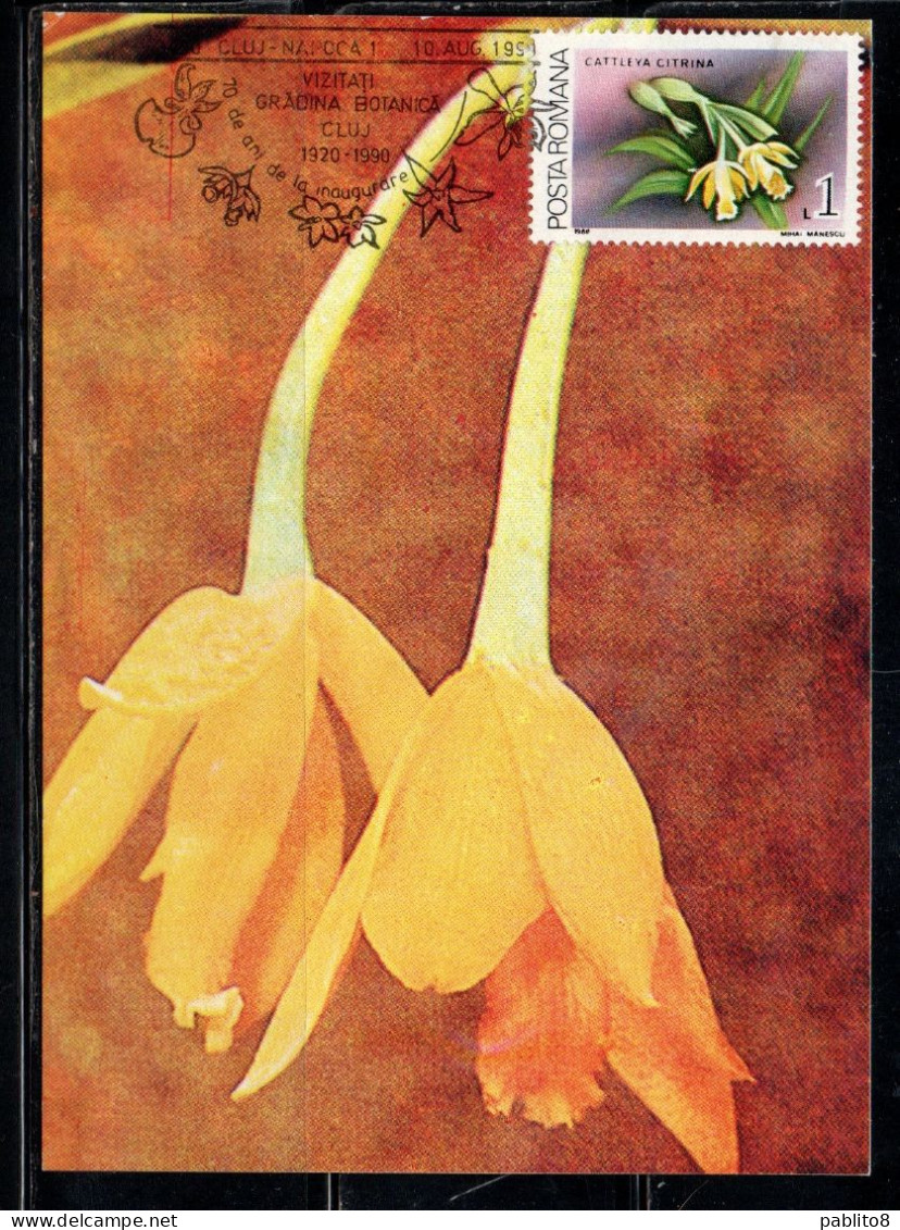 ROMANIA 1988 FLORA FLOWERS ORCHIDS CATTLEYA CITRINA FLOWER ORCHID 1L MAXI MAXIMUM CARD - Cartes-maximum (CM)