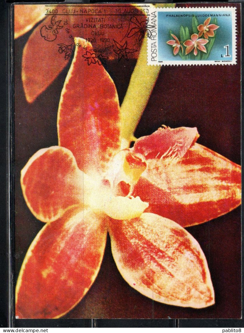 ROMANIA 1988 FLORA FLOWERS ORCHIDS PHALAENOPSIS LUEDDEMANNIANA FLOWER ORCHID 1L MAXI MAXIMUM CARD - Maximumkaarten