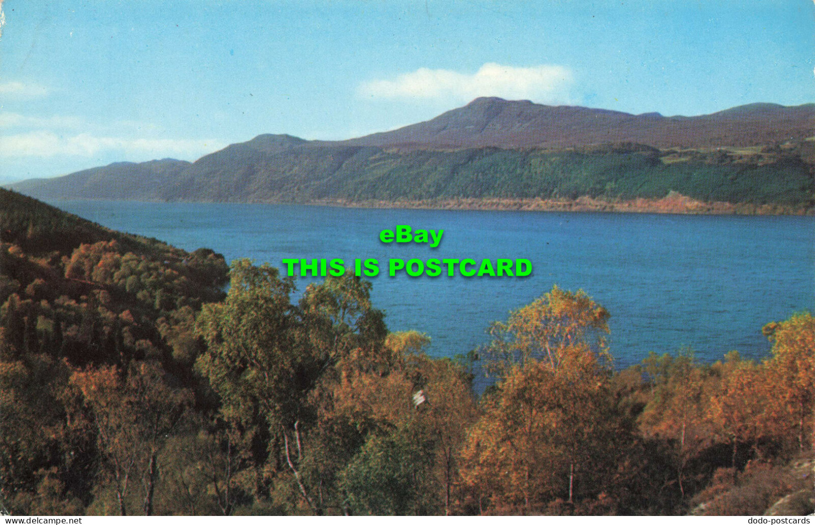 R579101 Inverness Shire. Loch Ness From Inverfarigaig. J. Arthur Dixon - Monde