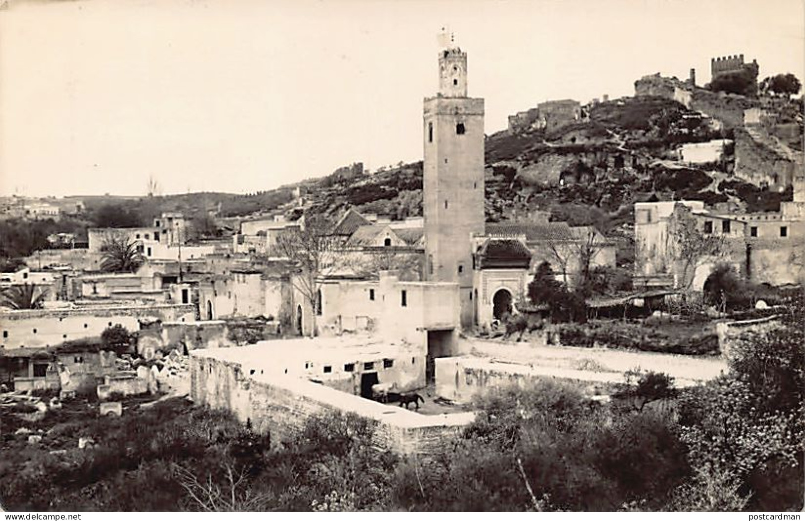 Maroc - FEZ - Carte Photo - Année 1932 - Fez (Fès)