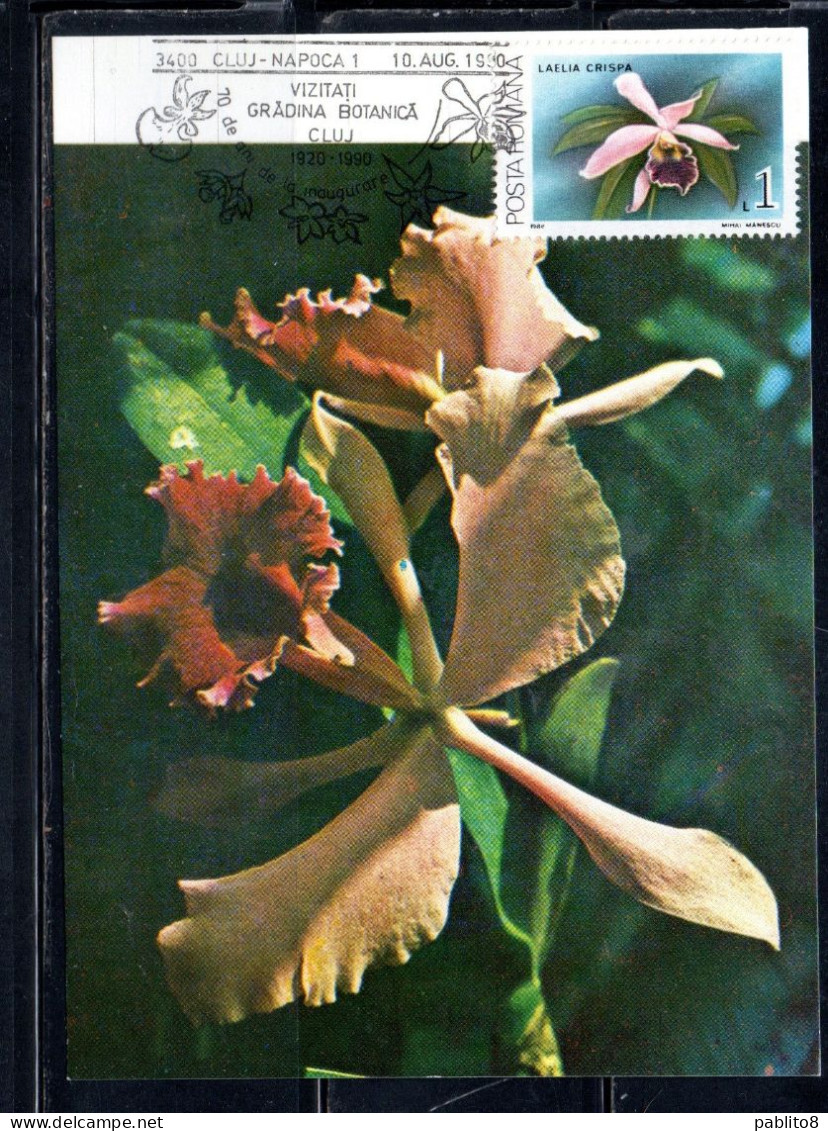 ROMANIA 1988 FLORA FLOWERS ORCHIDS LAELIA CRISPA FLOWER ORCHID 1L MAXI MAXIMUM CARD - Cartoline Maximum