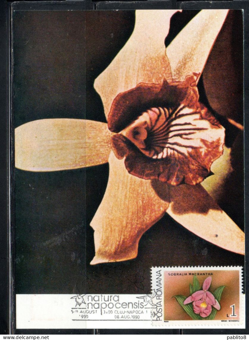 ROMANIA 1988 FLORA FLOWERS ORCHIDS SOBRALIA MACRANTHA FLOWER ORCHID 1L MAXI MAXIMUM CARD - Maximum Cards & Covers