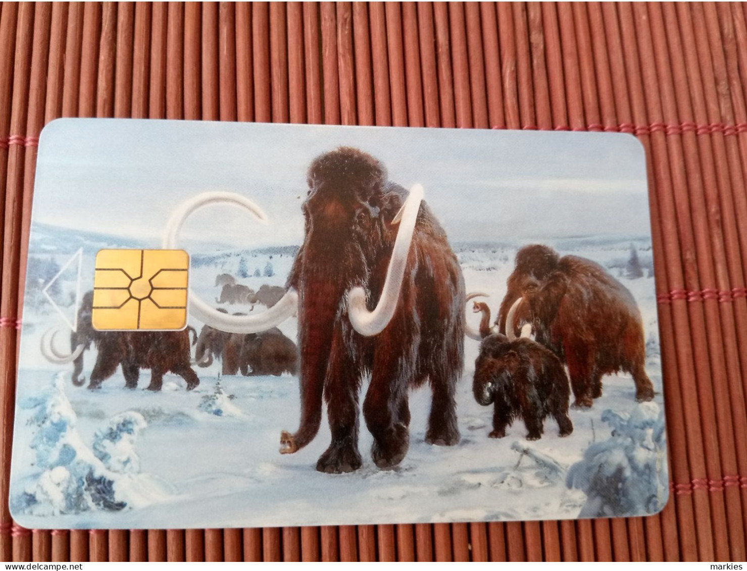 Elephannt Phonecard Used  Rare - Oerwoud